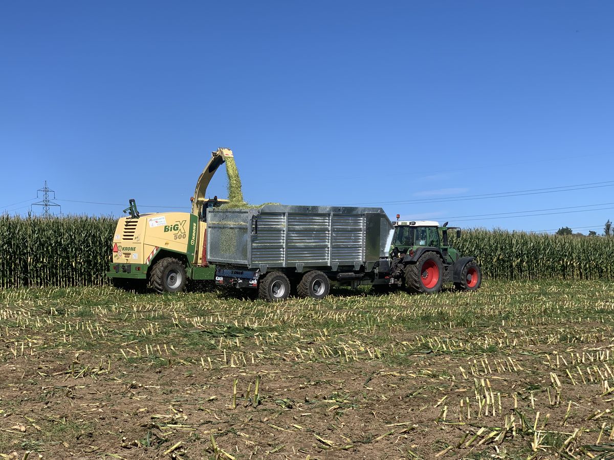 Häckseln mit Krone BigX