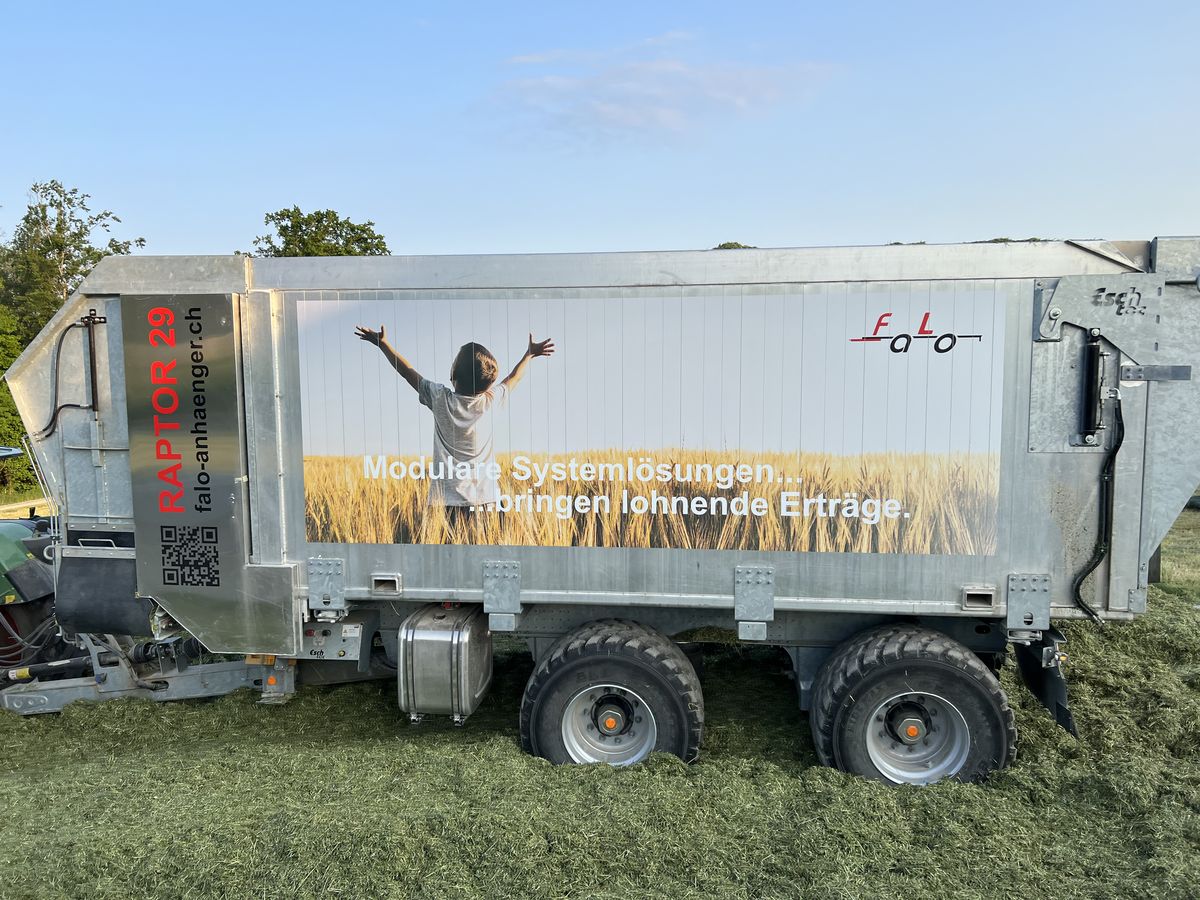 Raptor 29 mit Falo-Branding